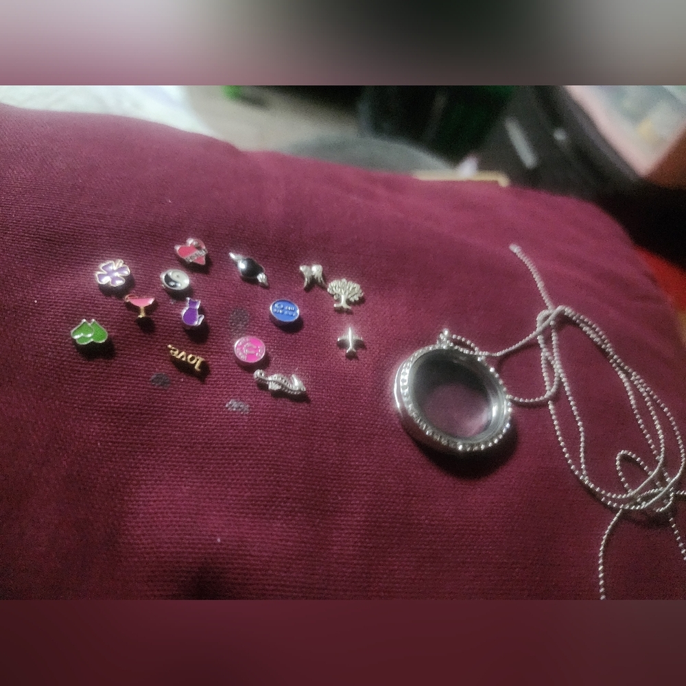 Origami Owl Necklace And Charms